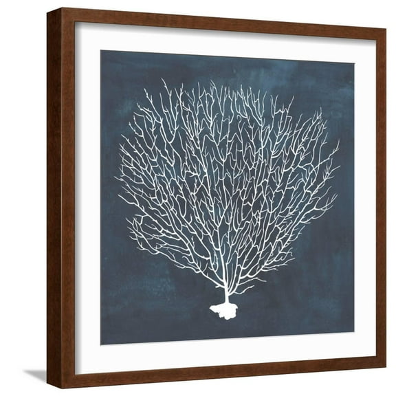 Art.com Inverse Sea Fan IV Art Print by Grace Popp, Brown Frame Wall Art, 21" x 21"