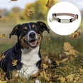 thumbnail image 3 of 1. Tamaño mediano; El collar no se estirará por sí solo; asegúrese de dejar solo 2 dedos entre el collar y el cuello del perro. Un collar y un arnés adecuados no dejarán espacio para que su perro, 3 of 5