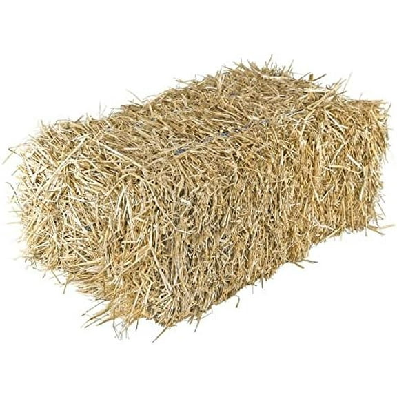 Straw Bale by Shady Creek Farm, Multi-Use for Farm & Home, Medium Straw Bale, 22"