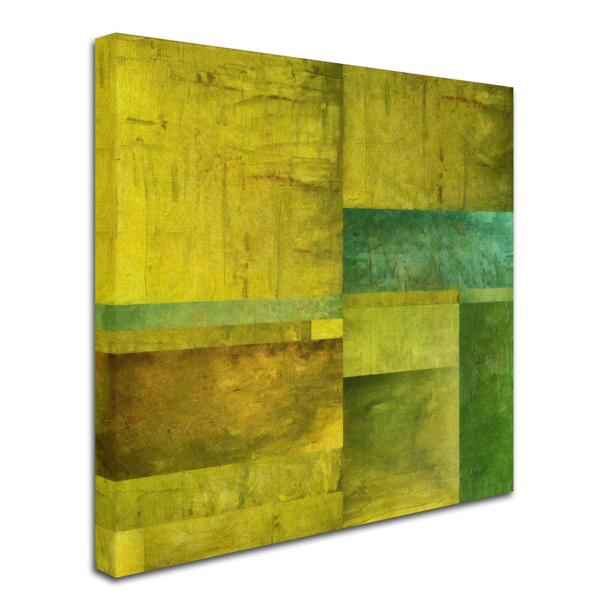 Trademark Fine Art "Essence of Green" Canvas Art by Michelle Calkins