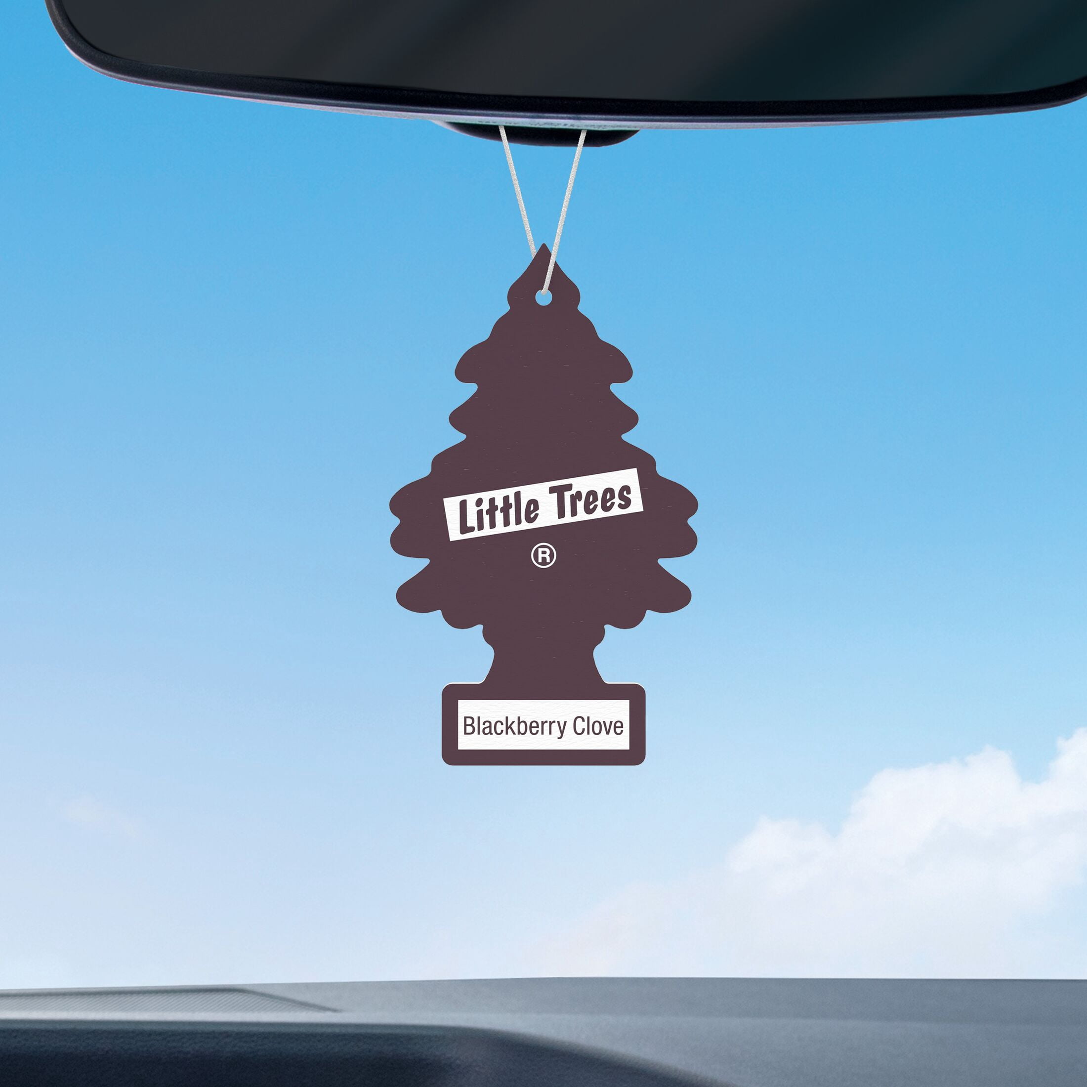 (2 pack) Little Trees Air Freshener Blackberry Clove Fragrance 3-Pack