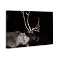 thumbnail image 2 of Stupell Industries Rustic Lodge Dark Reindeer at Night Canvas Art, 36 x 24, by Amy Carroll, 2 of 8