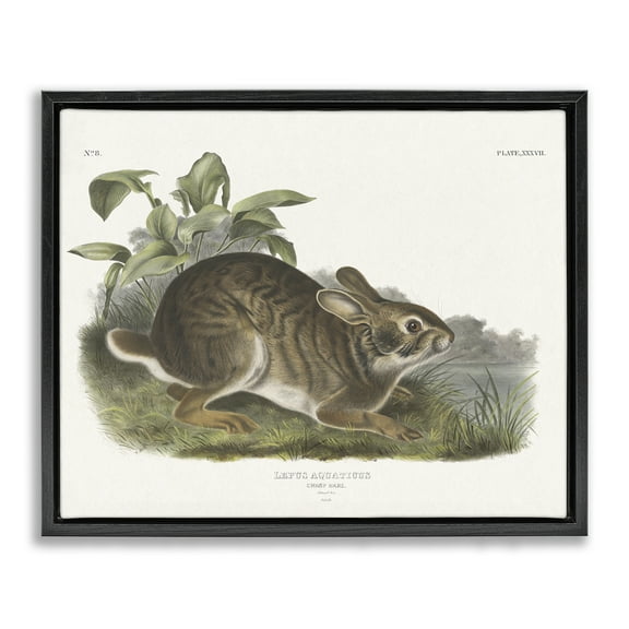 Stupell Industries Vintage Cottage Hare Animals & Insects Painting Black Floater Framed Canvas Art Print Wall Art, 21 x 17