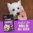 thumbnail image 4 of Cesar Softies Filet Mignon Flavor Chewy Soft Dog Treats, 6.7 oz Pouch, 75 Treats, 4 of 10