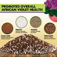 thumbnail image 2 of DUSPRO Recycle Premium 4-in-1 African Violet Potting Soil African Violet Soil Blend with Perlite, Coco Peat, Pumice, Pine Bark for Optimal Moisture Retention & Drainage 1QT, 2 of 7