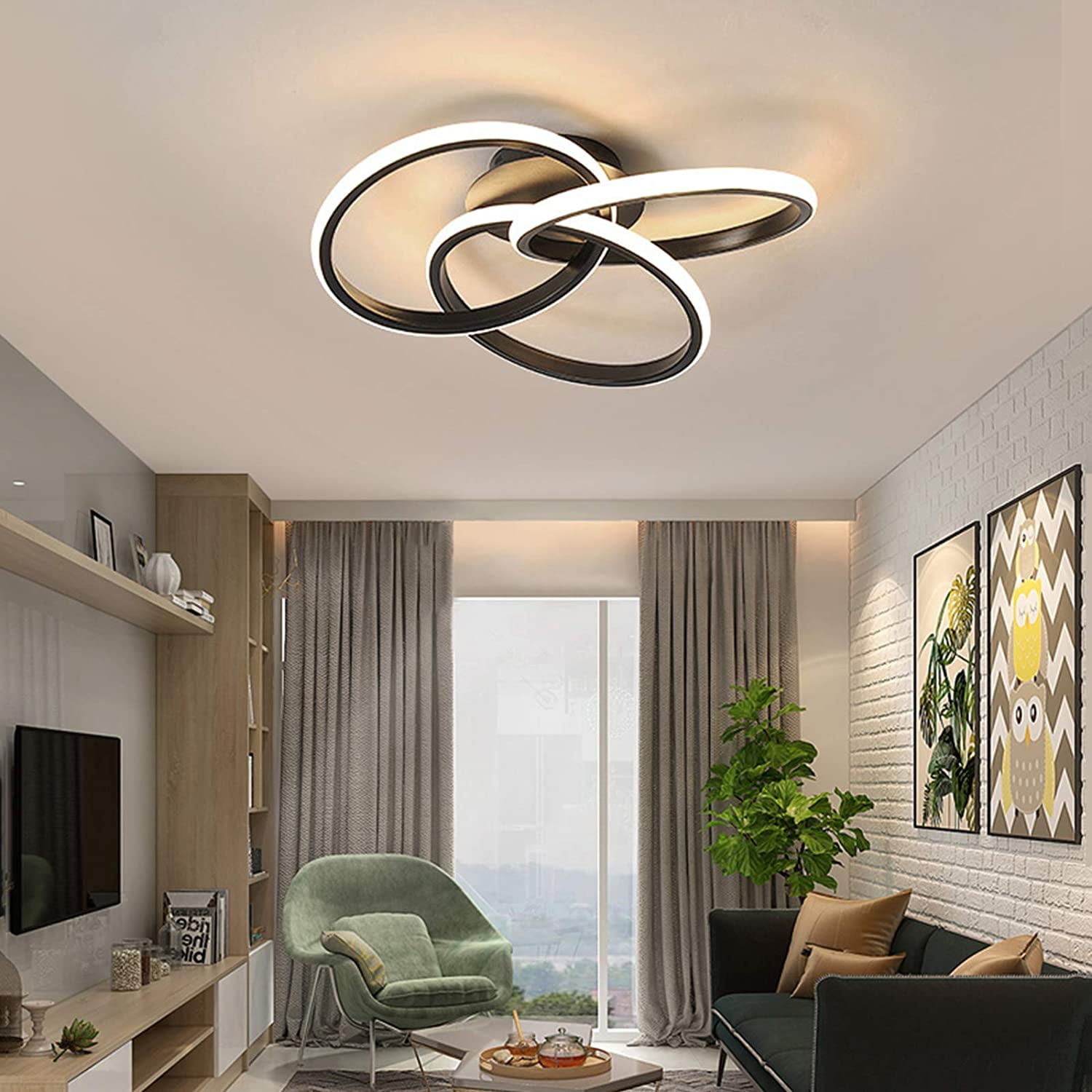 MONIPA Modern Ceiling Light Black 52cm/30w/Infinite Dimming with Remote Control/US Standard