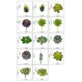 thumbnail image 2 of Artificial Plants Succulents Faux Succulents Decor Premium Crafting DIY Floral Decor for Home Garden Office Party 16 Pcs Set, 2 of 8