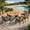 Gray, variant on Mintazer 7-Piece Patio Dining Set, Modern Outdoor Furniture Set with Rectangular Table & 6 Detachable Cushions Chairs for Patio Garden Balcony Backyard, Grey & Natural