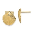 thumbnail image 5 of 14k Yellow Gold 2-D Polished Scallop Shell Post Earrings, 5 of 7