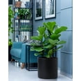 thumbnail image 2 of 12 Inch Plastic Planter Pots for Plant Pot with Drainage Hole and Seamless Saucers, Black Color, 2 of 7