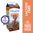 thumbnail image 1 of Dairyland Lait au Chocolat Sans Lactose, 1 of 5