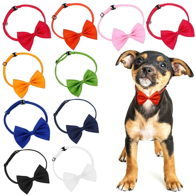 Shisuyan Collier Nœud Papillon pour Animal de Compagnie Rouge Collier Festif pour Chat 10 Pcs pour Photo de Famille