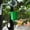 Green, variant on Hummingbird Feeder Ant Moat Hook, Plastic Ant Guard with Hooks for Outdoor Bird Feeder
