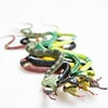 Cp Rubber Assorted Colorful Rainforest Snakes - 12 Pack  - Snake Toys For Children, Gag toys, Prank, Prop