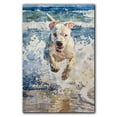 thumbnail image 3 of Funny Dog on Beach Canvas Wall Art, Dogo Argentino Dog Picture Ocean Artwork for Bathroom Bedroom Living Room, Art Decor 8x12 Inches, 3 of 6