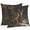 Brown, variant on Autumn Deer Waterproof Outdoor Throw Pillow Covers 16''x16'' Pack 2, Pillow Cases Throw Cushion Cover with Zipper, Forest River Elk Vintage Washable Pillowcase for Poolside Sofa
