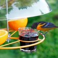 thumbnail image 4 of Oriole Bird Feeder, 3 Types Food, Orange Halves Fruit, Drinking Nectar and Grape Jelly Hummingbird Feeders, Outdoor Metal Hanging Adjustable Dome Proof Squirrel and Larger Birds Baffle, 4 of 7