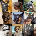 thumbnail image 4 of Gafas de Sol Antivaho y Anti-UV NAMSAN para Perros Grandes, 4 of 7