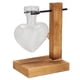 thumbnail image 5 of Macetero de vidrio con soporte de madera, florero de vidrio transparente hidropónico, florero de mesa, maceteros de vidrio para plantas de interior, acabado de lujo, 5 of 13
