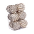 thumbnail image 4 of 12 piezas de adornos de bolas de Navidad, adornos colgantes decorativos para decoración navideña, adornos para árboles de Navidad para aniversario, patio Champán, 4 of 8