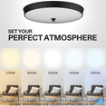 thumbnail image 5 of DYMOND LED Flush Mount 14 Inch Ceiling Light, Motion Sensor or Smartlife App Control with Smooth Color Temperature Adjustable and Dimmable Setting Light Fixture Black for Bedroom Kitchen Living Room, 5 of 11
