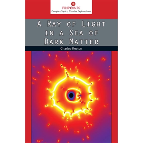 Pre-Owned Pinpoints: A Ray of Light in a Sea of Dark Matter (Paperback)