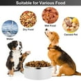 thumbnail image 4 of Cuencos para perros de comida y agua de acero inoxidable Laklulu para perros pequeños, medianos y grandes, 42 onzas, cuenco de alimentación para mascotas, aproximadamente 18,3*6,3 cm, 4 of 5