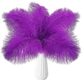 thumbnail image 1 of Nvzi 24 piezas de plumas de avestruz moradas naturales a granel de 10 a 12 pulgadas, 25 a 30 cm, para centros de mesa de bodas, fiestas, Pascuas, Gatsby y decoración del hogar, plumas de avestruz, 1 of 4