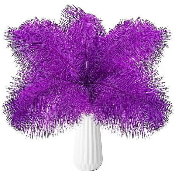 Nvzi 24pcs Purple Ostrich Feathers Natural Bulk 10-12Inch 25cm-30cm for Wedding Party Centerpieces Easter Gatsby and Home Decorate Ostrich Feathers
