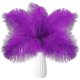 thumbnail image 1 of Xiao Hua 24 plumas de avestruz moradas naturales a granel de 25 a 30 cm para centros de mesa de bodas, fiestas, Pascua, Gatsby y decoración del hogar., 1 of 5