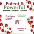 thumbnail image 4 of Cranberry Pills Supplement 25,000mg - Fresh Cranberry Equivalent with Vitamin C & E - Urinary Tract Health Support, Sugar Free Formula, Fruit Powder Extract - Non-GMO, Bottled in USA - 120 Capsules, 4 of 10