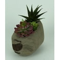 thumbnail image 3 of Artificial Succulent Garden in Rustic Grey Wood Planter, 3 of 3