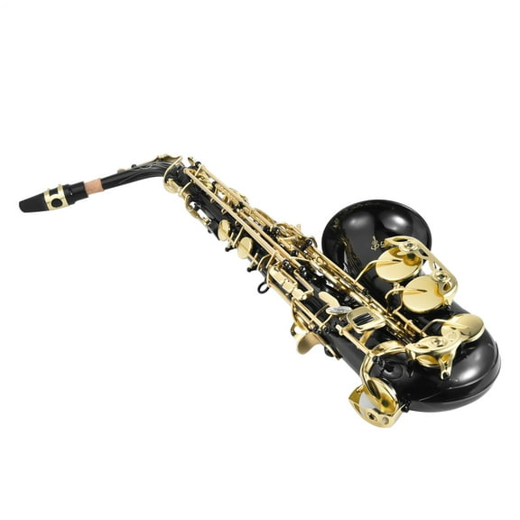 Saxophone Alto | E Flat Sax Full Kit | Professional Sound Brass Instruments, Includes Case, Leather Pads, Adjustable Strap for Beginners, Music Lover