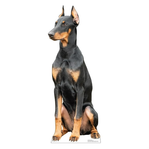 Cardboard People Doberman Dog Life Size Cardboard Cutout Standup - Made in USA
