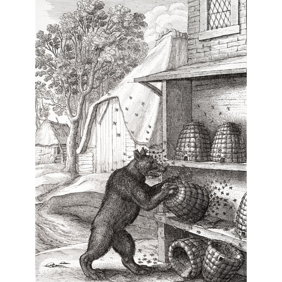 Hollar The Bear And Honey Bees Aesop Illustration Extra Large XL Wall Art Poster Print