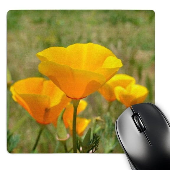 3dRose, California Orange Poppies Field Flowers Flower Photograph, MousePad