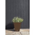 thumbnail image 6 of Veradek Pure Series Nobleton 18" Plastic Planter Tray - Espresso, 6 of 8