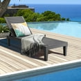 thumbnail image 1 of Gymax Chaise Longue d'Extérieur avec Dossier Réglable, Noire, 1 of 10