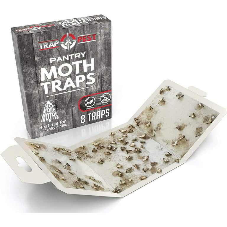 8 Pack Pantry Moth Traps- Safe and Effective for Food and Cupboard- Glue  Traps with Pheromones for Pantry Moths