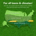 100-sq-ft-big-roll-year-around-green-grass-mixture-walmart