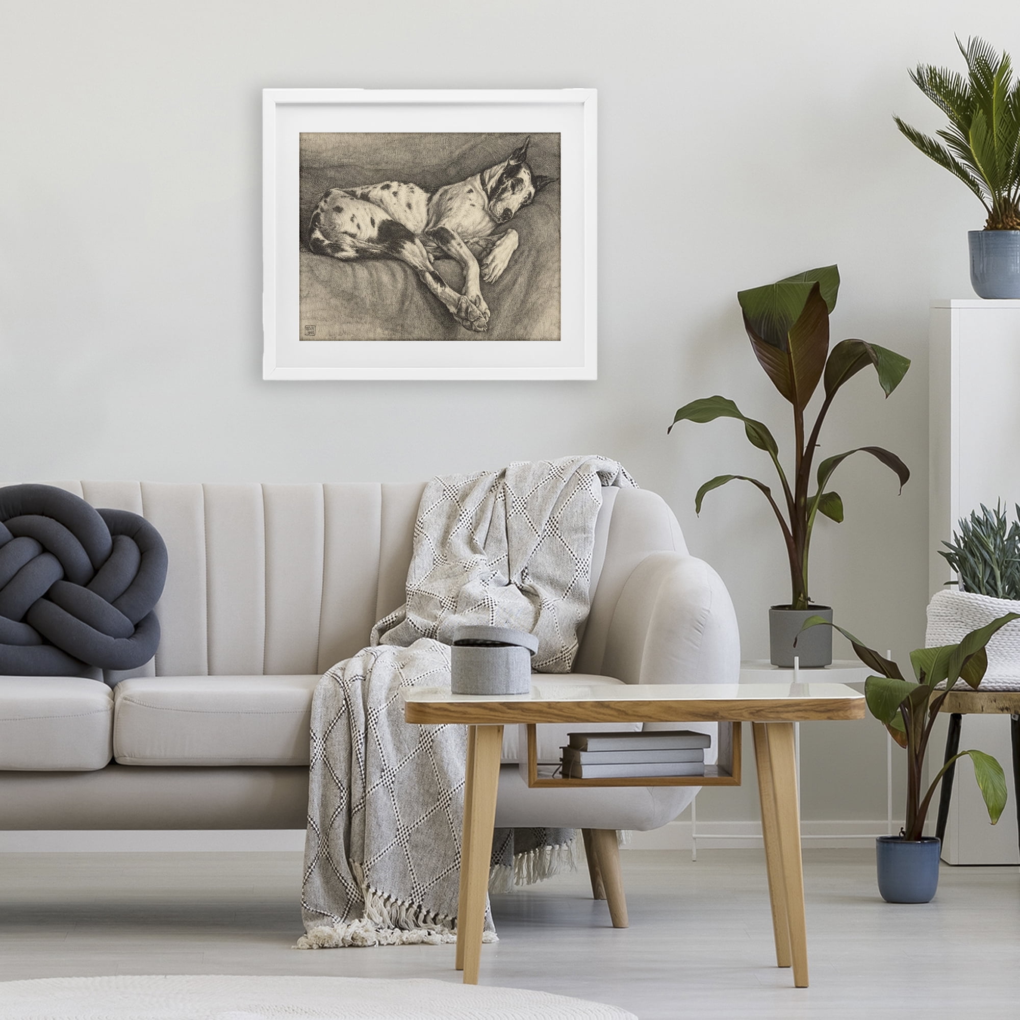 Stupell Industries Sleeping Hound Drawing White Framed Print Under Glass, design by Bertha Van Hasselt