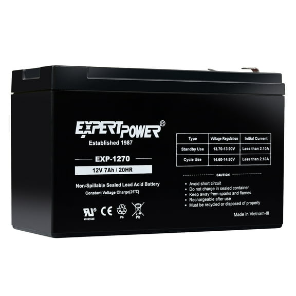 ExpertPower Lead Acid 12 Volt Automotive Battery, Top Post