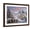 Brown Frame, variant on Art.com Heaven on Earth Giclee Print by Nicky Boehme, 16" x 12"