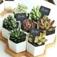 thumbnail image 5 of 202Pcs Black Plant Labels Water T-Types Plant Tag Reusable Nursery Garden Labels Plant Markers for Flower Vegetables, 5 of 6