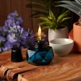 thumbnail image 2 of TIKI 8028434 Clean Burn BiteFighter Glass 3.50 Tabletop Torch - Pack of 6, 2 of 3