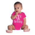 thumbnail image 4 of First Birthday 1 Year Niece Daughter Romper Boys or Girls Infant Baby Brisco Brands NB, 4 of 6