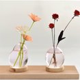 thumbnail image 4 of Creative Bubble Vase Hydroponics Glass Vase Transparent Pink Flower Arranger Table Decoration, 4 of 5