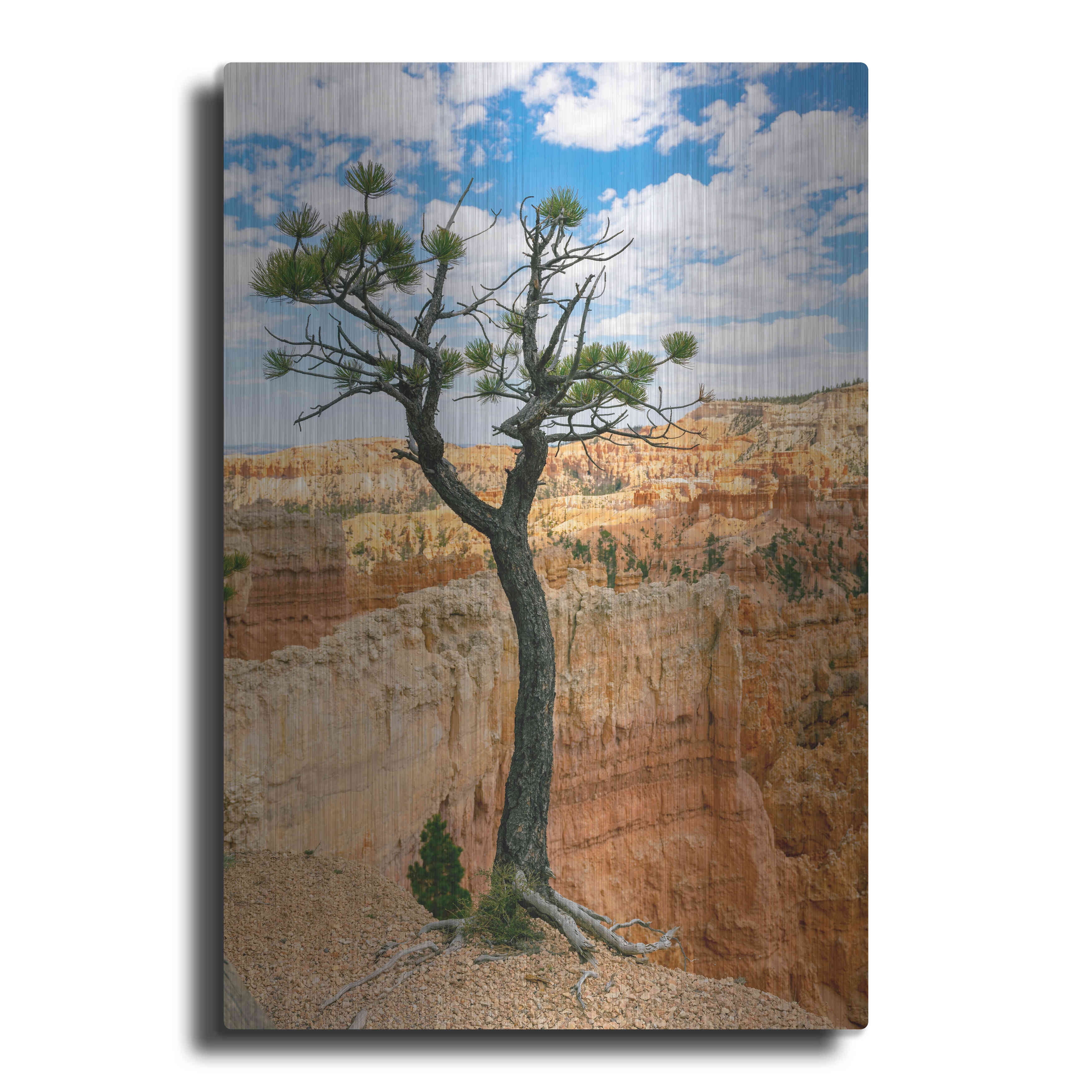 Luxe Metal Art 'Utah Bryce Canyon Tree' by Luxe Portfolio, Metal Wall