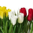 thumbnail image 3 of Vickerman 9.5" Artificial Assorted Set of Tulips in Metal Pot., 3 of 9