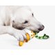 thumbnail image 3 of Chicle explosivo para perros con forma de huevo de dinosaurio amarillo, ideal para masticar en casa o en el coche., 3 of 5